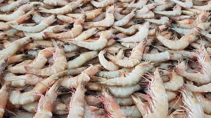 تصویر 1 از میگو تازه مشهد با تأمین مطمئن و کیفیت مطلوب